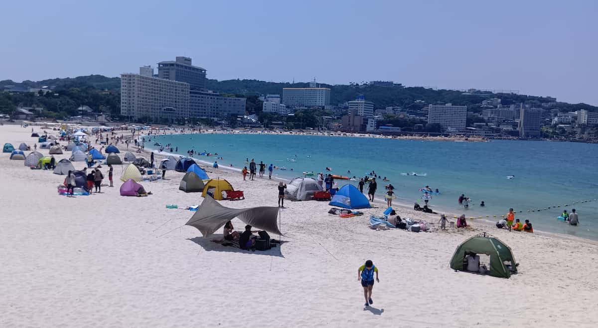 和歌山・白浜ポストパンダ戦略は観光客増で意外に健闘　町長「これまで思考止まっていた」